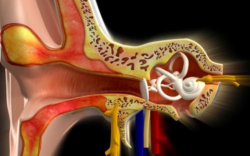 Menieren tauti on sisäkorvan sairaus, joka johtaa mm. kuulon heikkenemiseen.