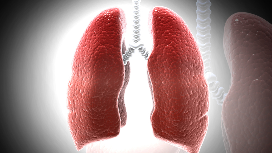 Sarkoidoosin aiheuttamaa tulehdusta esiintyy useimmiten keuhkoissa.